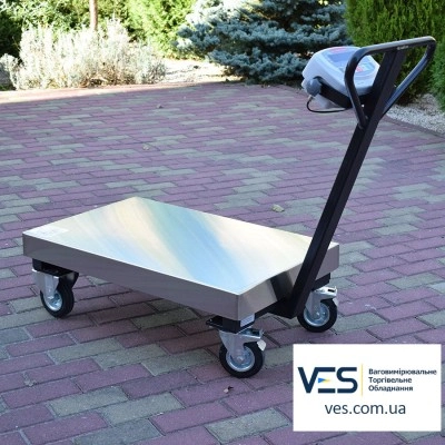 Весы-тележка Axis BDU150-0508 В-В Бюджет (150 кг, 500х800 мм)