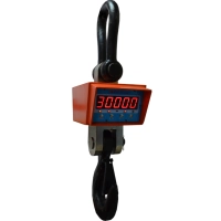 Кранові ваги 30 т Дніпровес OCS-30t-XZA