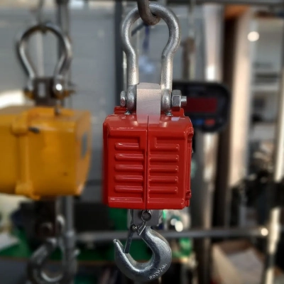 Кранові ваги 300 кг Дніпровес OCS-0.3t-XZL