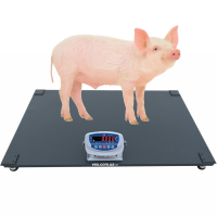 Весы для взвешивания животных, свиней, поросят | 300кг, 500кг, 1000кг, платформа 750х1250 мм