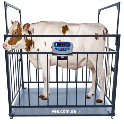 Весы для взвешивания животных, свиней, крс 1250х2000 мм с оградкой 1500 мм до 300 кг, 500 кг, 1т, 2т VTP-G-1220 Горизонт