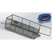 Ваги для свиней Axis 4BDU 600X-0820