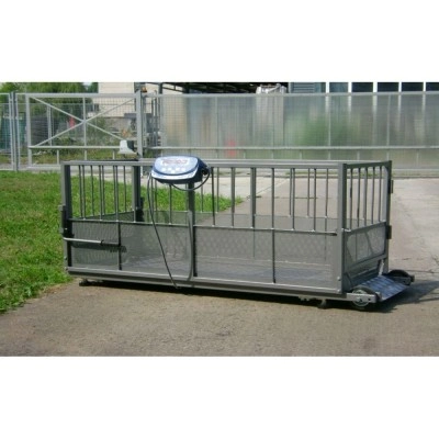 Ваги для свиней Axis 4BDU 600X-0820