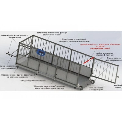 Ваги для свиней Axis 4BDU 600X-0820