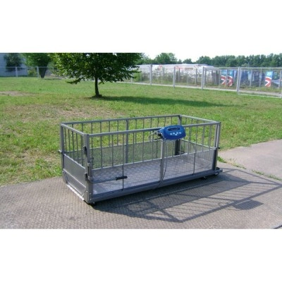 Ваги для свиней Axis 4BDU 600X-0820