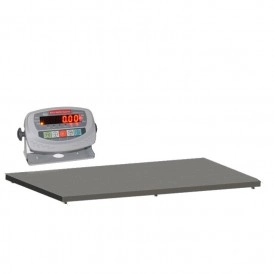 Автомобільні ваги Бус до 6 тонн Axis 6BDU6000-2040-Б