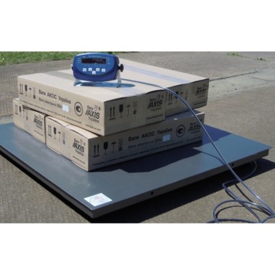 Платформенные низкопрофильные весы 4BDU300-1012 бюджет 1000х1250 мм (до 300 кг)