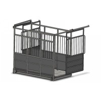 Ваги з розсувними дверима для ВРХ 4BDU-3000X-Р, НПВ: 3000кг, платформа: 1500х2000 мм ПРАКТИЧНІ