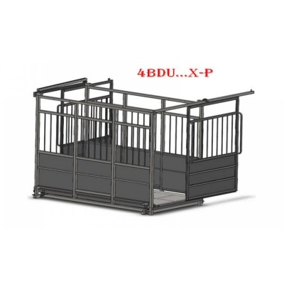 Ваги з розсувними дверима 4BDU-600X-Р, НПВ: 600кг, 1250х2000х1600мм ПРЕМІУМ