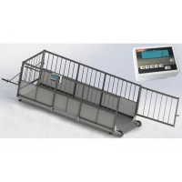 Ваги для індивідуального зважування свиней 4BDU-300X, НГЗ: 300кг, 1500х650х760мм ПРАКТИЧНІ