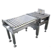 Режектор (сборник) с пневмопоршнем на роликовом конвейере CAS RP400/500/60/700 (Roller Pusher)