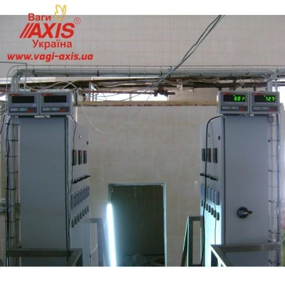 Бункерні ваги інших типів