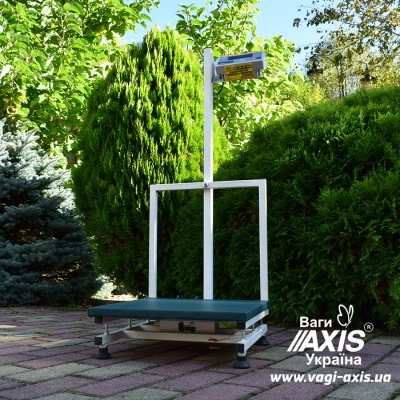 Ваги медичні BDU300-Medical