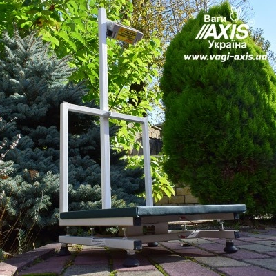 Ваги медичні BDU300-Medical