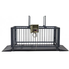 Ваги РС1500-Х для зважування тварин