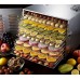 Сушіння для харчових продуктів (дегідратор) WS10 PRO GoodFood