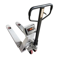 Ваги - Рокла електронні ЗЕВС ВПЕ (ZEUS) A12ESS Бюджет - 3000 кг