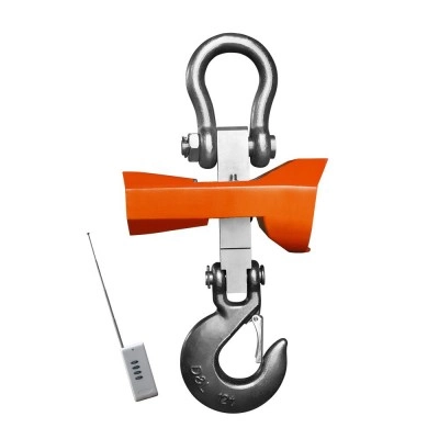 Ваги кранові до 5 т 5ВК-ІК Ваговимірювальні системи